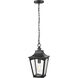 Curry 1 Light 9 inch Powder Coated Black Outdoor Hanging Lantern